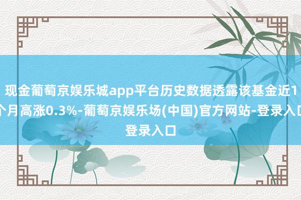 现金葡萄京娱乐城app平台历史数据透露该基金近1个月高涨0.3%-葡萄京娱乐场(中国)官方网站-登录入口