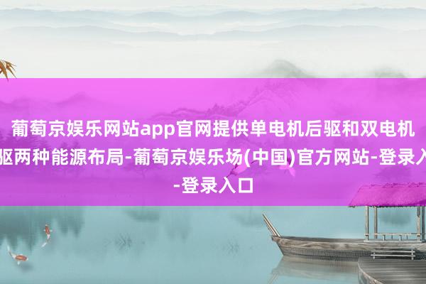 葡萄京娱乐网站app官网提供单电机后驱和双电机四驱两种能源布局-葡萄京娱乐场(中国)官方网站-登录入口