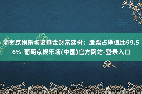 葡萄京娱乐场该基金财富建树：股票占净值比99.56%-葡萄京娱乐场(中国)官方网站-登录入口