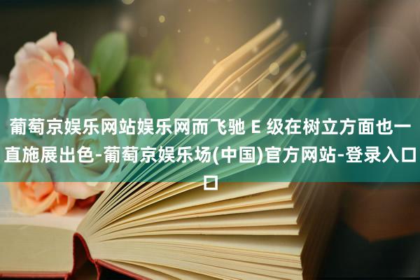 葡萄京娱乐网站娱乐网而飞驰 E 级在树立方面也一直施展出色-葡萄京娱乐场(中国)官方网站-登录入口