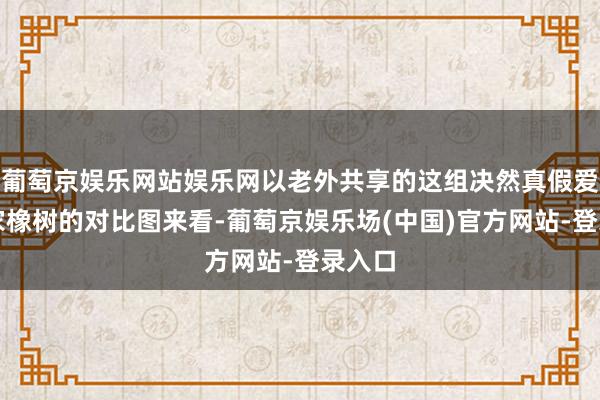 葡萄京娱乐网站娱乐网以老外共享的这组决然真假爱彼皇家橡树的对比图来看-葡萄京娱乐场(中国)官方网站-登录入口