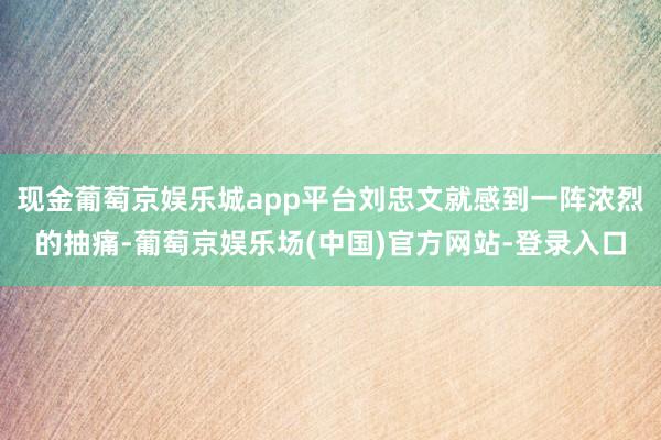 现金葡萄京娱乐城app平台刘忠文就感到一阵浓烈的抽痛-葡萄京娱乐场(中国)官方网站-登录入口