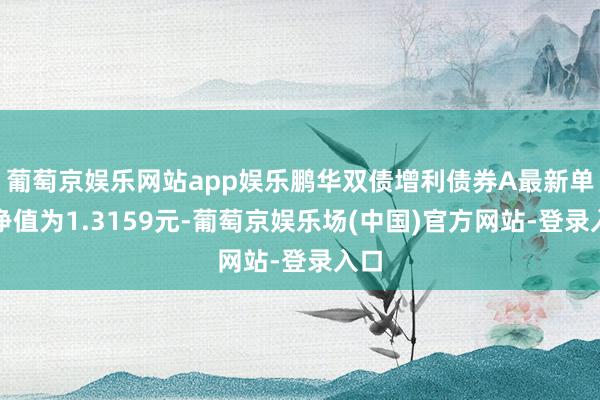 葡萄京娱乐网站app娱乐鹏华双债增利债券A最新单元净值为1.3159元-葡萄京娱乐场(中国)官方网站-登录入口